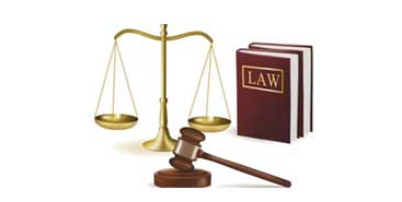 立案與偵查階段